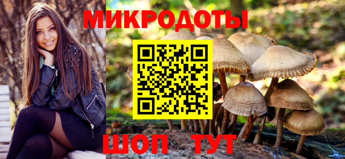 Псилоцибиновые грибы Cubensis Тавда