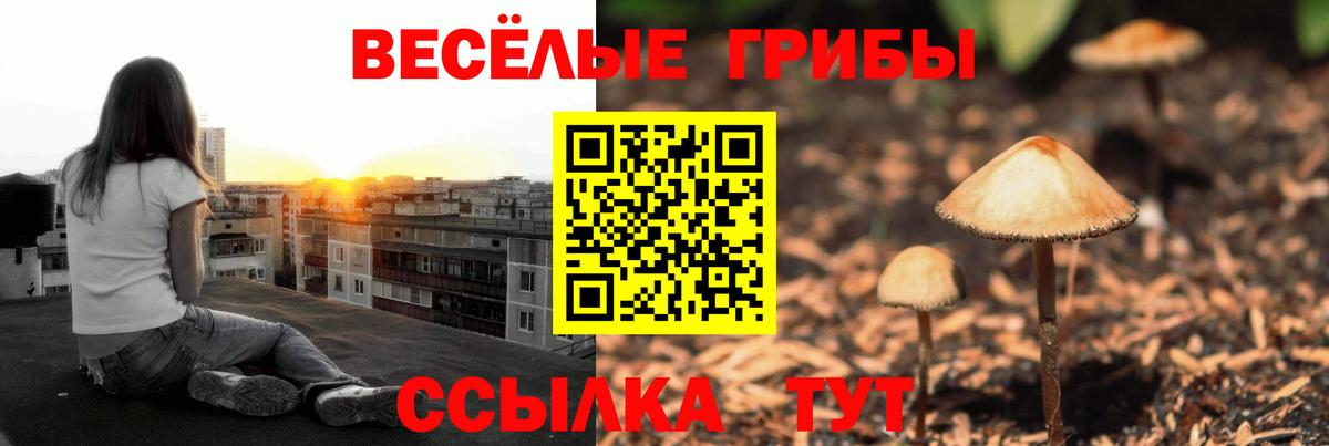 Галлюциногенные грибы Cubensis  Вход с VPN  Тавда 